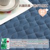 Zdeysun Single Teijin Mighty Top II Padding, Washable Bed Pad,
