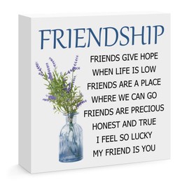 Friendship Gifts for Women Desk Decorative Sign for Best Friend Birthday Christmas Mothers Day Going Away Unique Friendship Gifts for Bestie Female Friend BFF Cheer up Gift