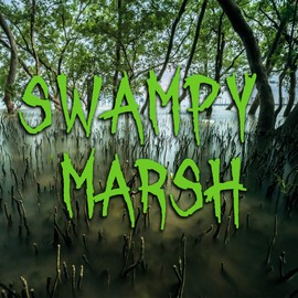 1 oz. Swampy Marsh - Water Based Scent Additive for Fog, Haze, Snow & Bubble Juice - Scents 2 Gallons