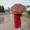 balvi Umbrella Puppymbrella colour brown including neoprene shell in the