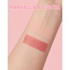 Erinde 3 tonos Cosmetics Powder Blush Palette Mate,#04