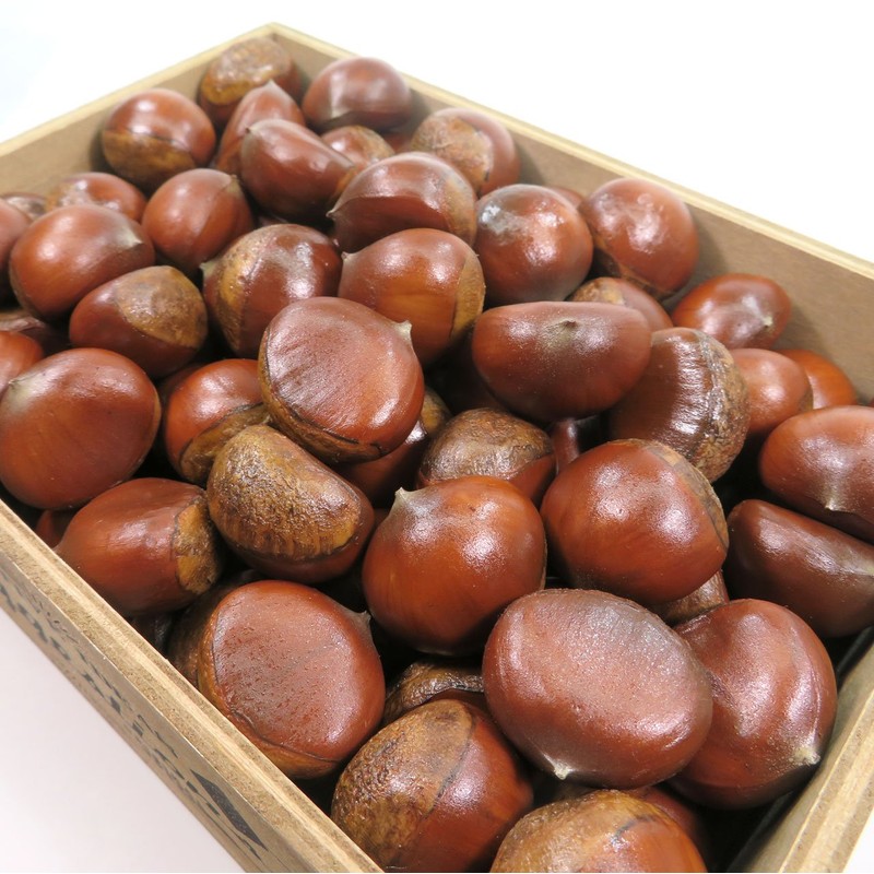 Food Sample Keychain 181TK