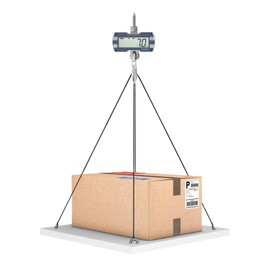 Digital Crane Scale, 2 Ton Digital Hanging Crane Scale with Remote Controller, Heavy Duty 2200lb/1000kg Industrial Electronic Scale, Portable Big Hoist Wild Game Scale kg/lb/N (2200lbs Silver Grey)
