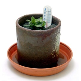 シンワ測定(Shinwa Sokutei) 地温計ミニ 3入 O-3 B 72633