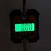 Digital Fishing Scale Multifunction 0.2kg to 100kg Portable Electronic Hook
