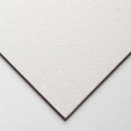 Winsor 6224110 12 x 10-Inch Canvas Board