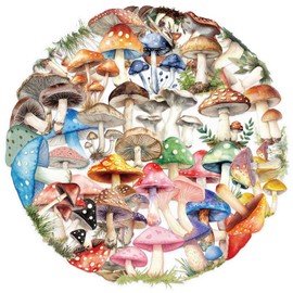 50 PCS Mushroom Stickers,Transparent Vintage Mushroom Stickers Waterproof PET Decals for Scrapbook Journaling Photo Album Collage Card Nature Colorful Agaric Decals for Teens and Adults