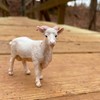 Safari Ltd. Billy Goat Figurine - Lifelike 3.75" Figure -
