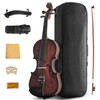 Ceciliec Violin 4/4 Full Size for Beginners, Ebony Fitted Solidwood