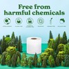 Caboo Tree Free Toilet Paper, Tree Free, Septic, Chemical Free
