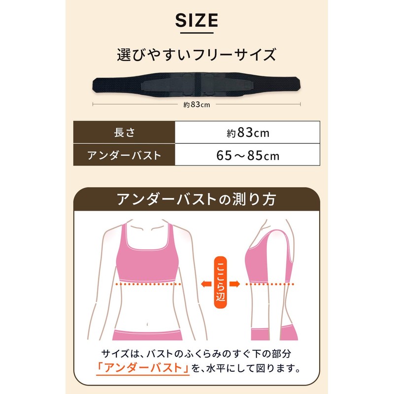 【鍼灸整体師監修】肋骨 くびれ 姿勢 サポーター 薄くて軽い apprecia あばら 調節ベルト 背骨ボーン STYLE