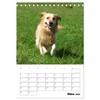 Glücklicher Golden Retriever (Tischkalender 2026 DIN A5 hoch), CALVENDO Monatskalender: