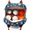 FlowFly Lunch Bag Tote Bag Lunch Organizer Lunch Holder Insulated