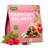Herblight Hormone Balance Tea with Red Raspberry Leaf