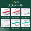 SZSL Triangular Scale Plastic Scale 11.8 inches (30 cm), Scale: