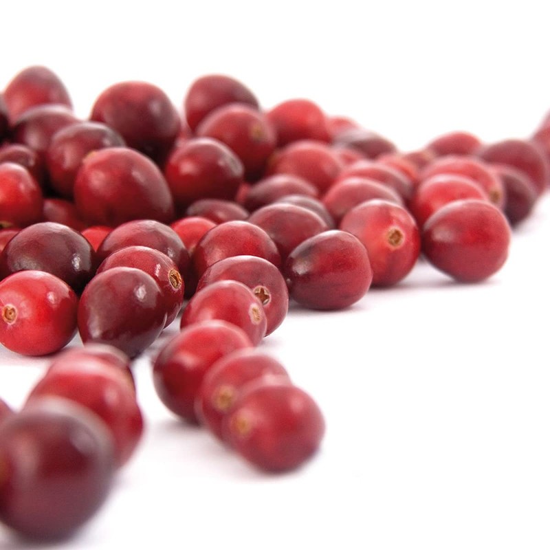 GSE Urovit Powder in Portion Bag - 30 Bags Cranberry