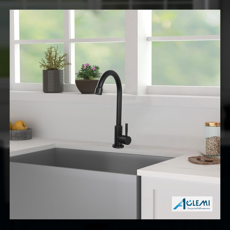 Aolemi Cold Water Only Kitchen Faucet Black 304 Stainless Steel