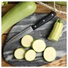 Everwilde Farms - 1 Oz Gray Zucchini Summer Squash Seeds