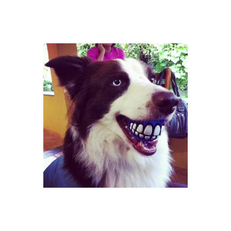 Rogz Grinz Fetch Treat Dispensing Ball Dog Toy Pink Small