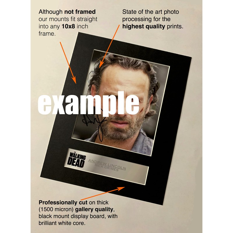 Alessandro Del Piero Signed Mounted Photo Display #1