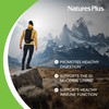 Natures Plus AgeLoss Digestion Support - 90 Capsules - Prebiotics,