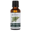 Cococare 100% Rosemary Oil - 1 Fl Oz - Natural