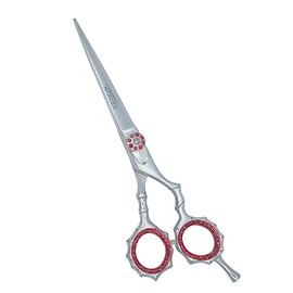 Nixcer Hair Scissors 6" - Fancy Hair Cutting Scissors Series with Adjustable Screw - Stainless Steel Razor Edge Hair Shears for Salon & Home Use (6 Inch - NS055)