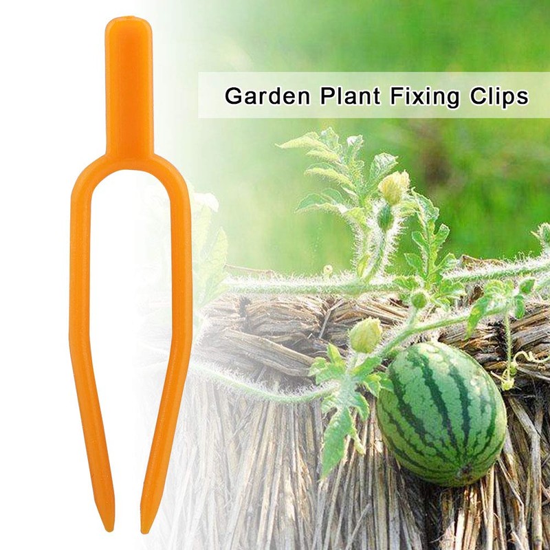 100Pcs Gardening Plant Fixing Clips, Reusable Plastic Stolons Fastening Vines