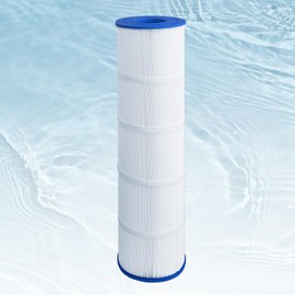 DAYEAR Pool Filter Cartridge Compatible with CS200, PJANCS200, C-8418, FC-0823, R0462400, 11088503, 11088513, 1 Pack