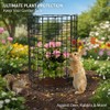 DAYUMKOU 10 Pack Metal Wire Mesh Plant Protector from Animals(12"×12")