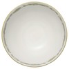 Noritake TT97890/4924-10 My Neighbor Totoro Rice Bowl, 9.2 fl oz