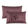 Black Horse Silk Satin Pillow Cases 2 Pack BLUSH-PINK, Silky