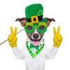[USA-SALES] St Patrick's Photo Booth Props, Attached, No DIY Required,