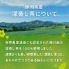 Oshi Saryo Brown Rice Tea Bag with Matcha, 0.1 oz