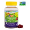 Melatonina 60 Gomitas Niños Premium Dormir Mejor Eg M31 Sabor Berries