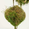 Factory Direct Craft Artificial Green Moss Twig Ball Spray for