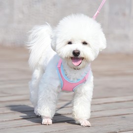 Dog Harness with Leash Set, No Pull Adjustable Reflective Step-in Puppy Harness with Padded Vest for Extra-Small/Small Medium Large Dogs and Cats(Pink, M)