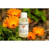 Calendula Oil Infusion 50ml