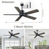 Biukis Ceiling Fan with Remote: 52 Inch Outdoor Ceiling fans