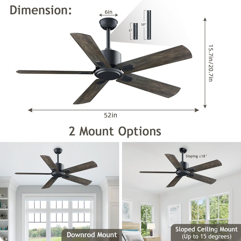 Biukis Ceiling Fan with Remote: 52 Inch Outdoor Ceiling fans
