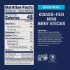 Country Archer Original Minis 100% Grass-Fed Beef Stick 0.5 oz.