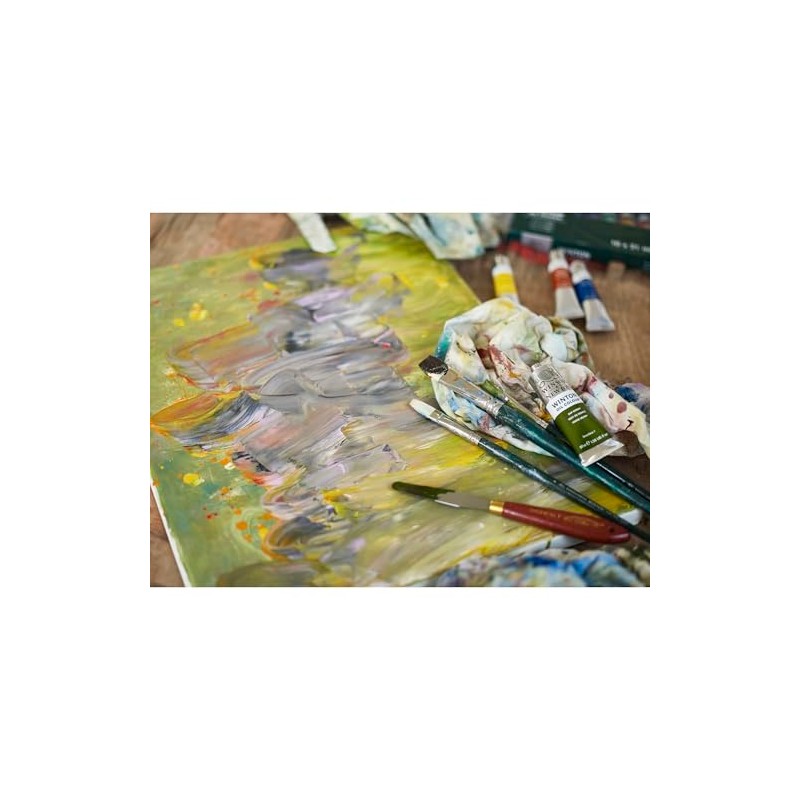 Winsor & Newton 1490619 Jgo.Oleo Winton P/Prin. C/ 10 10375