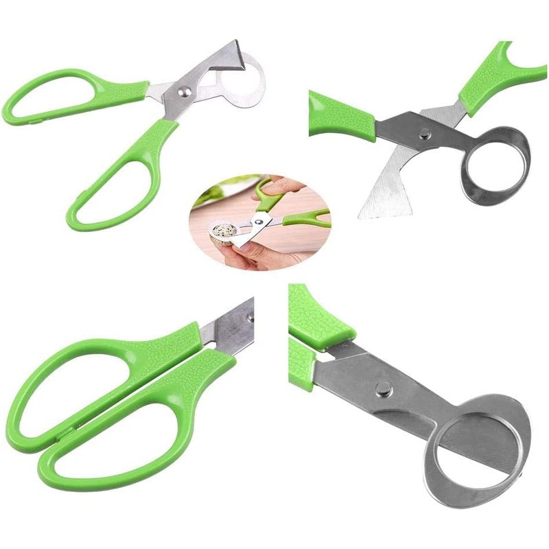 Quail Egg Scissors,(2PCS) Bird Pigeon Egg Cutter Opener Stainless Steel