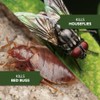 BioAdvanced Home Pest Germ Killer Indoor & Outdoor Insect Killer,
