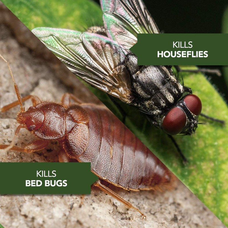 BioAdvanced Home Pest Germ Killer Indoor & Outdoor Insect Killer,