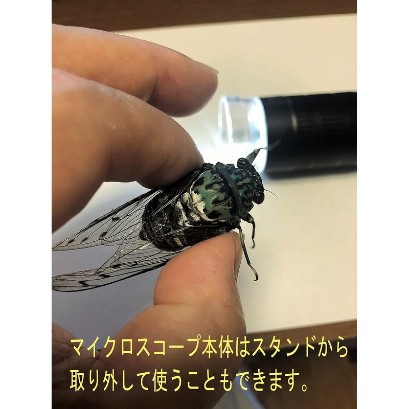 YRO Digital Microscope USB Microscope Stand, Dimmable, Magnifier, LED Lighting,