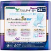 Ace Organic Nature Slim Guard: Strong Night Use, 350 Wings,