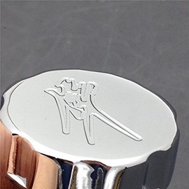 SMT-Chrome Billet Oil Fluid Reservoir Cap Compatible With 1999-2012 Suzuki Hayabusa Gsxr 1300 [B00RNIVIPI]