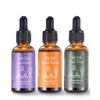VTS Essential Oils - Lavender & Sweet Orange & Tea