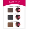 Hair Foundation darkbrown